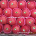 /msite/products/detail/productid/54855552/id/542998.html